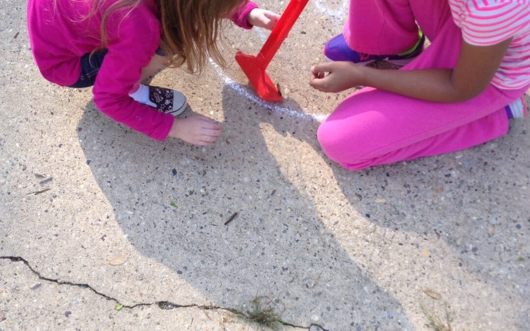 Caterpillar races