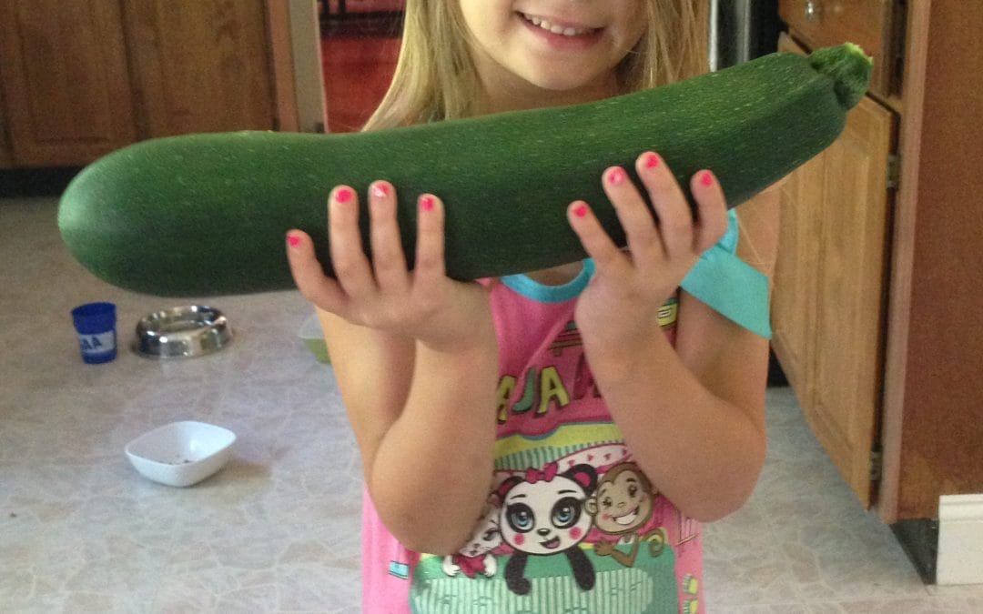 Look at this zucchini!